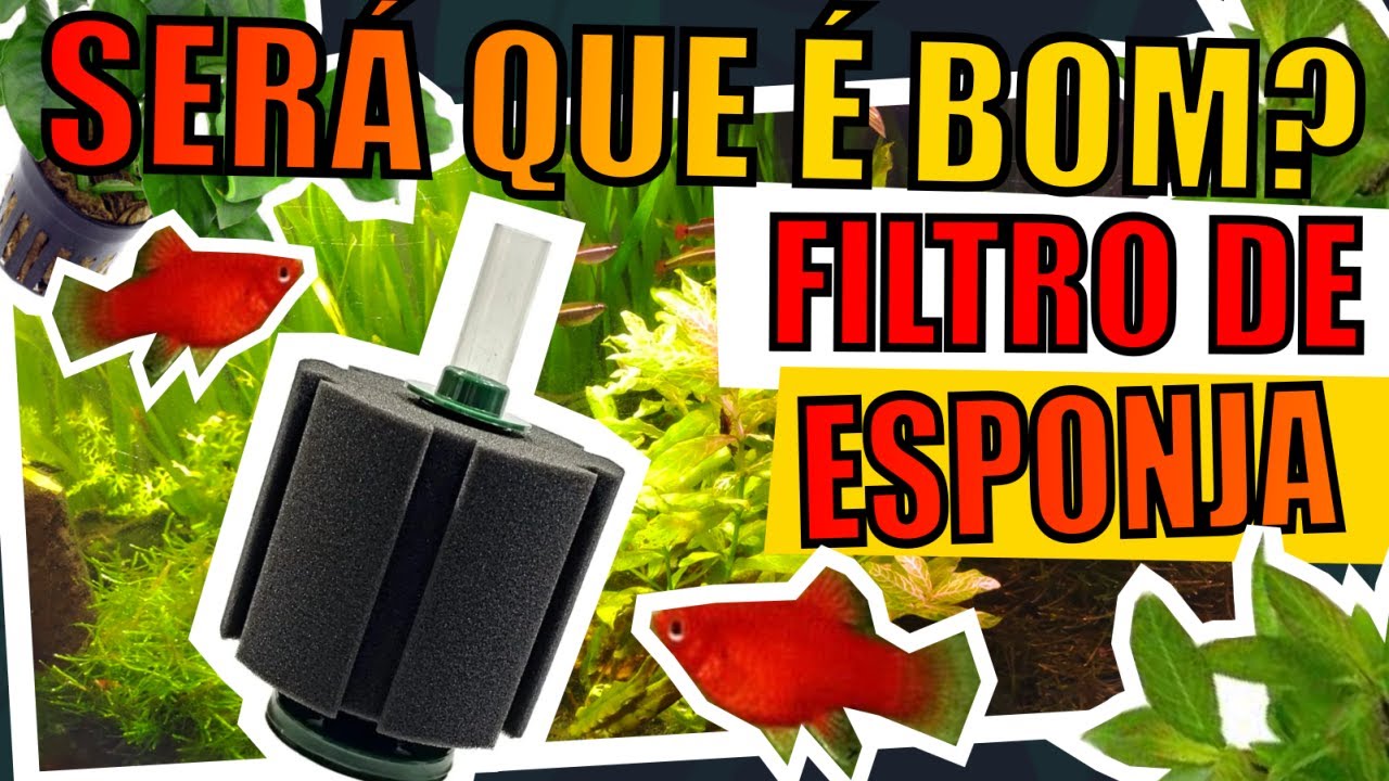 🔴FILTRO DE ESPONJA/ESPUMA É BOM? VALE A PENA?        |Mr. Betta|