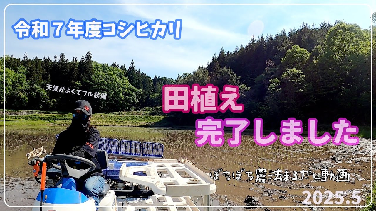 農業女子　2025.5田植え　広島県　世羅町