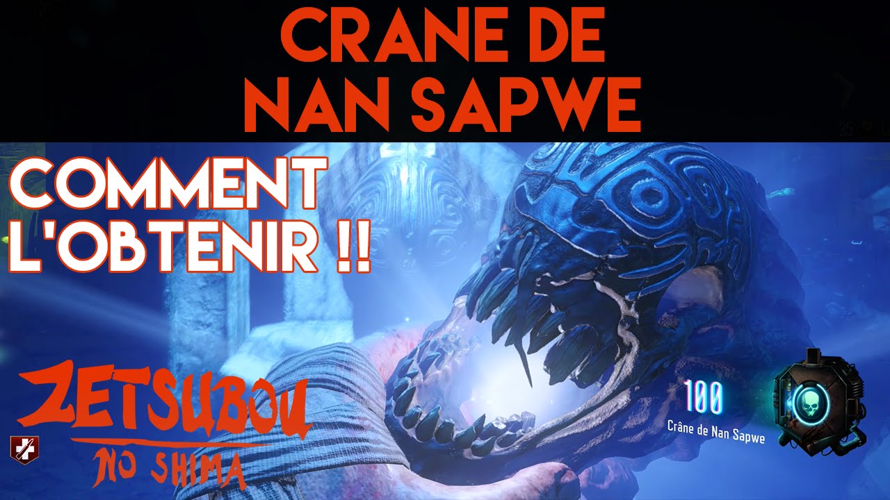 [BO3 ZNS] Obtenir le crâne de Nan Sapwe ! Arme spéciale Zetsubou No Shima