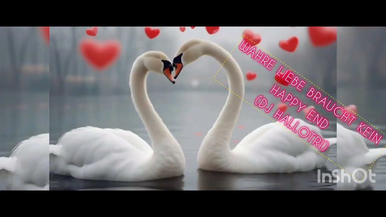 Liebe braucht kein Happy End (DJ Hallotri) Modern Dream Pop 