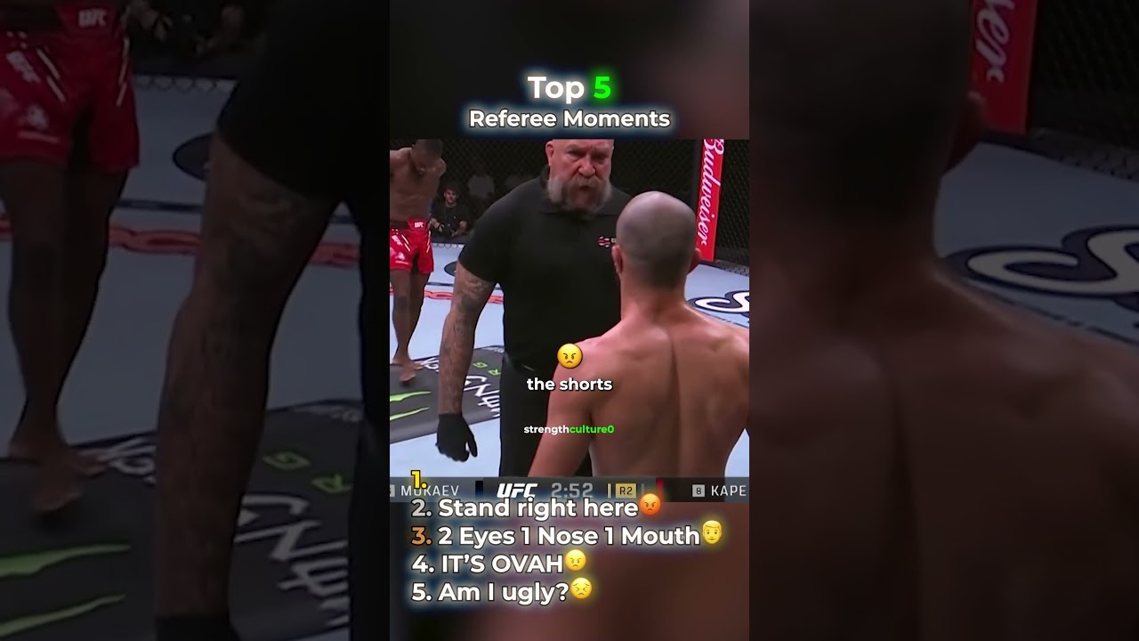Top 5 Referee Moments in MMA 😭 #ufc #ufcvideo