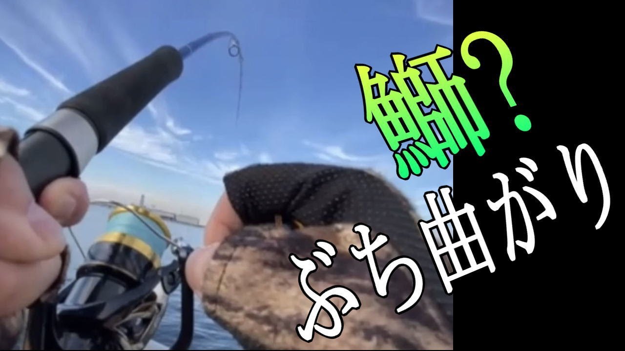 【堺 海釣りテラス】 え‼ こんな場所で !! まさかのアレが釣れるの？