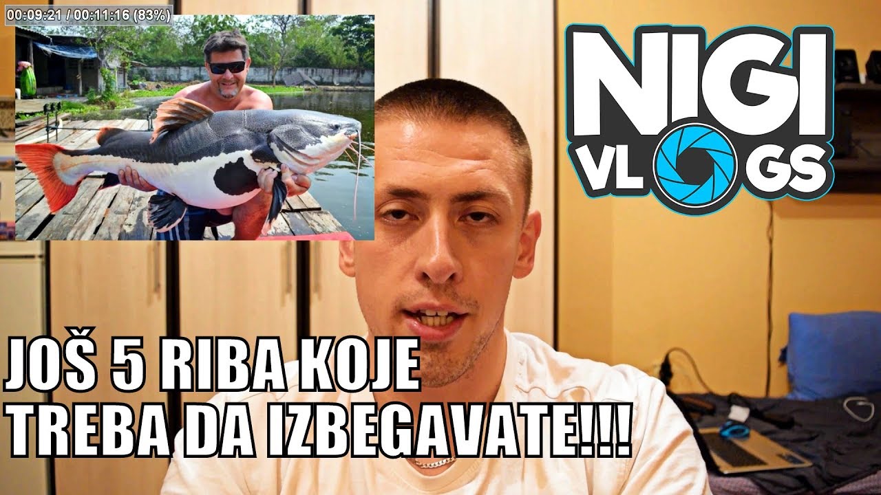 Još 5 Riba Koje Bi Ste Trebali Izbegavati U Početničkom Akvarijumu #NigiVlogs