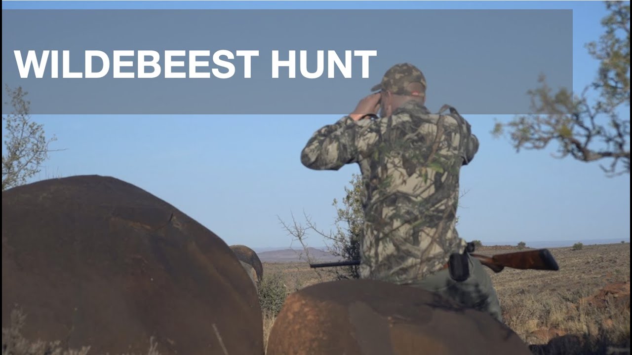 Wildebeest Hunt - Boiled Egg Safari Ep.14