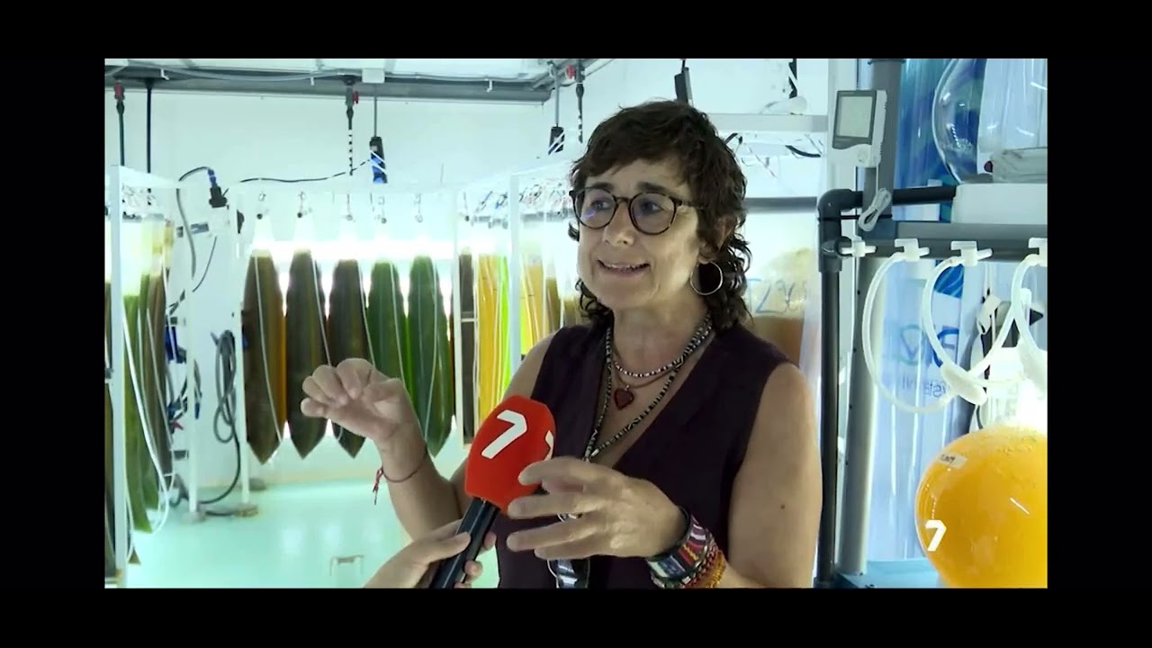 LA 7. JARDINER&Iacute;A DE OSTRAS. REMEDIOS2