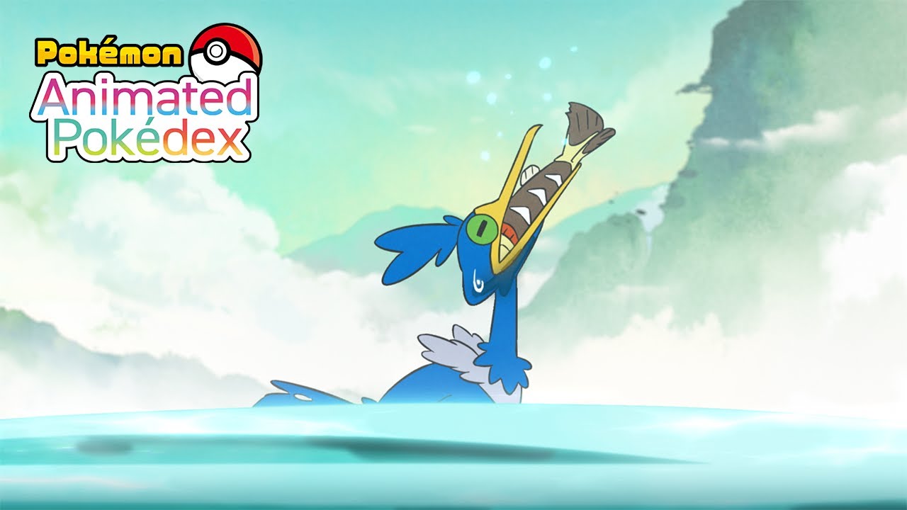 Cramorant #0845 | Animated Pok&eacute;dex Series