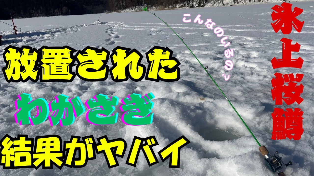 【北海道】氷上桜鱒釣り。氷の穴からとんでもない大物が…