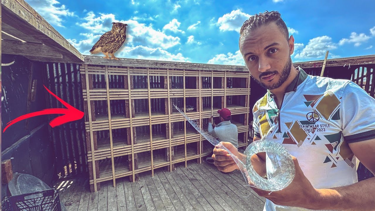 عملت كده في برج الحمام علشان البومة 😳(حمامي بيخلص ) طريقة عمل المرابيع👌