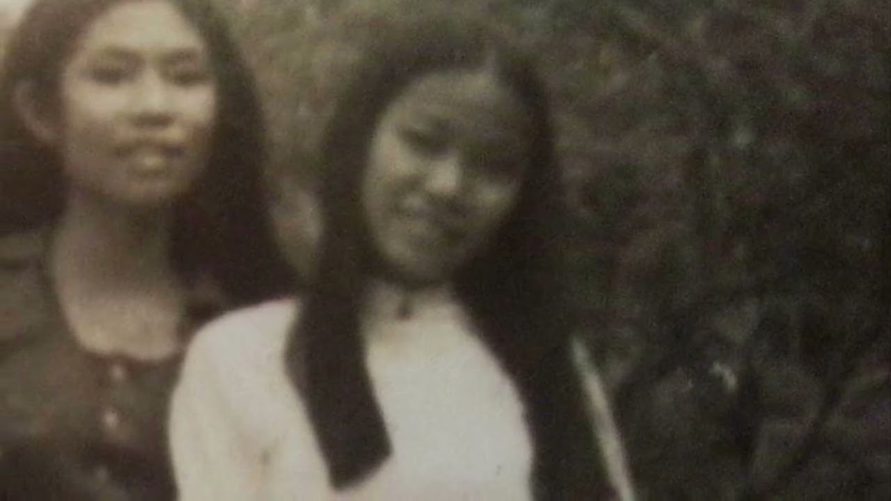 Trinh nguyên 