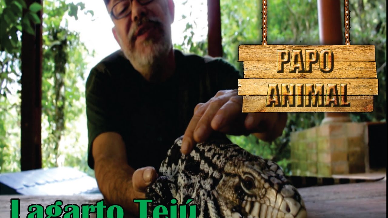 Papo Animal - Lagarto Teiu