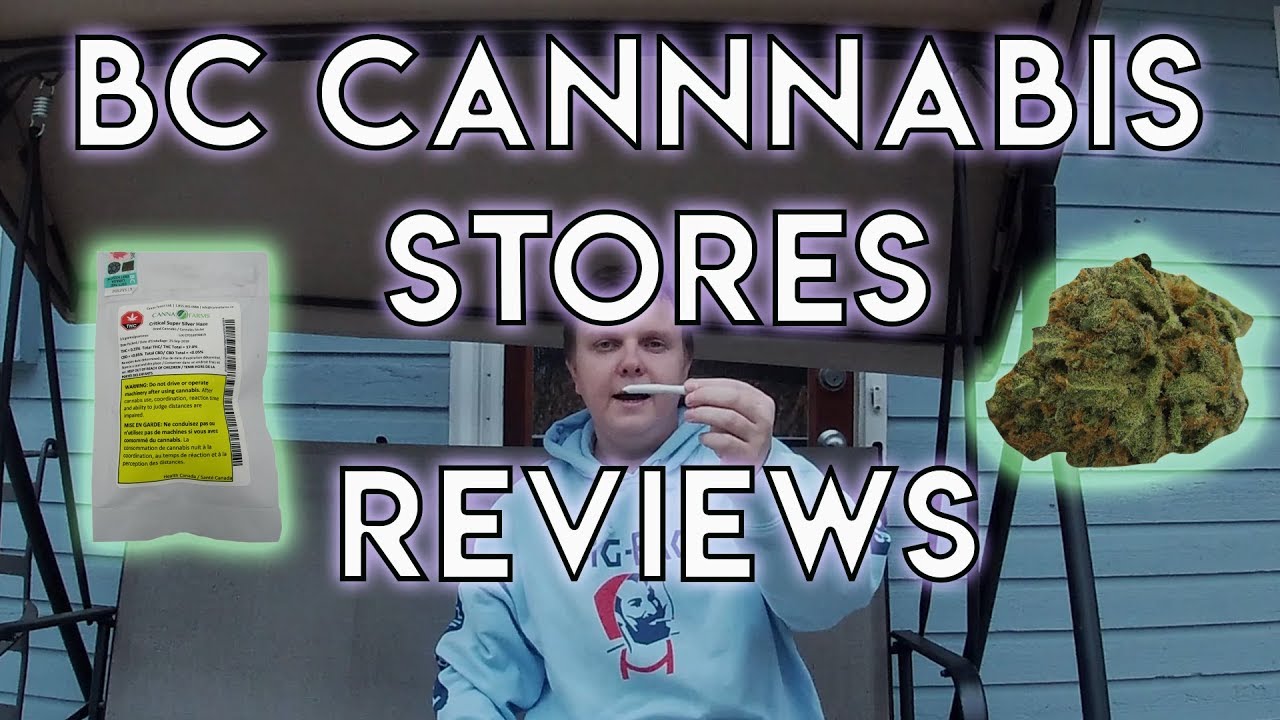 Critical Super Silver Haze (Sativa) by CannaFarms OCS review