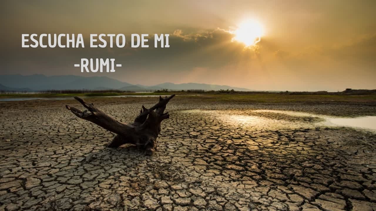 ESCUCHA ESTO DE MI (Bu sözü benden duy) - RUMI