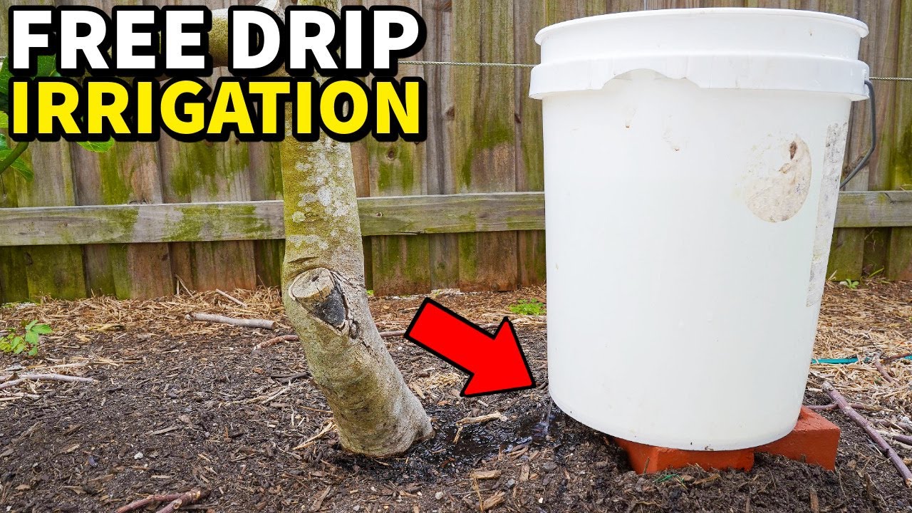 How To Make A FREE Drip Irrigation System With An Old 5 Gallon Bucket