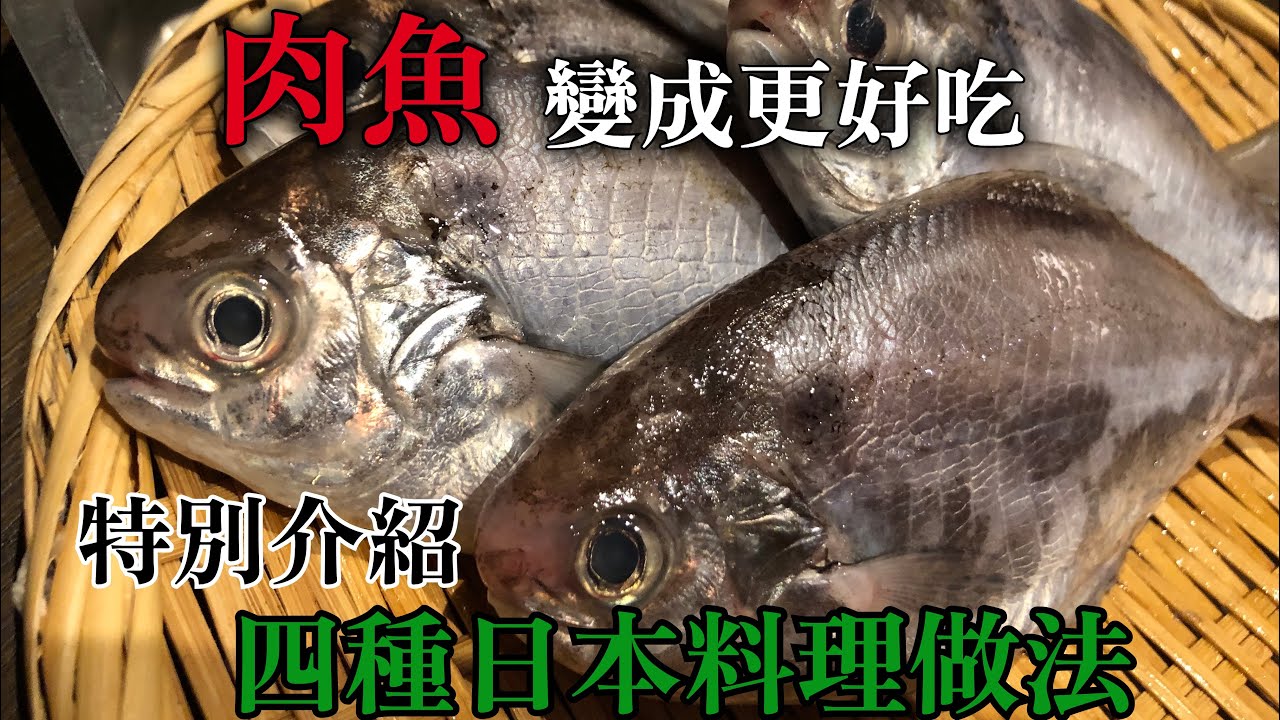【用台灣的肉魚做】這個做法的話普通的魚變成超級好吃　知道沒有壞處　特別介紹不同口味四種日本料理調理方法