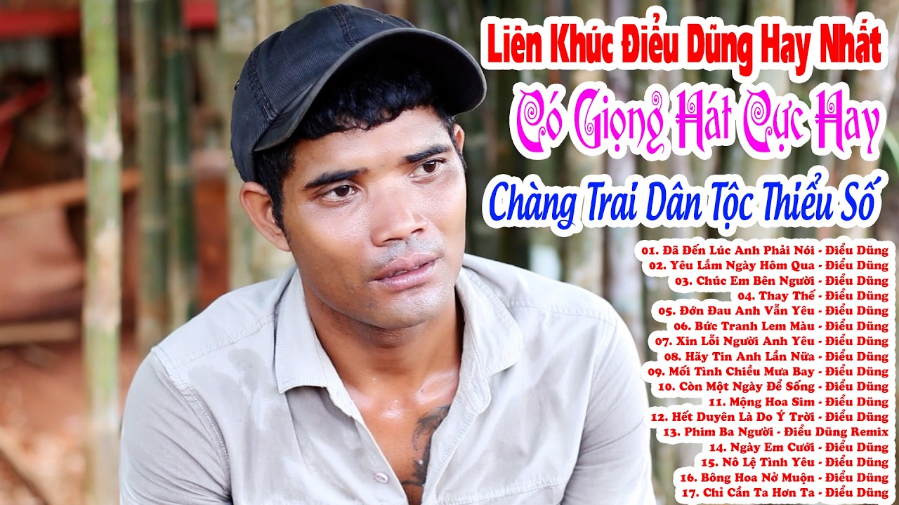 Liên Khúc Điểu Dũng Hay Nhất | Đã Đến Lúc Anh Phải Nói - Điểu Dũng | Chàng Trai Dân Tộc Thiểu Số Có.