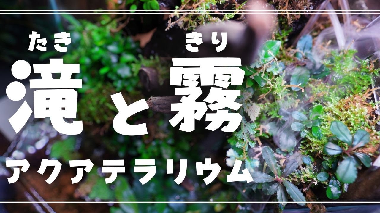 永遠に放置管理できるポンプ１個で作れる滝と霧の湧くアクアテラリウム【アクアリウム】パルダリウム 陰性水草レイアウト