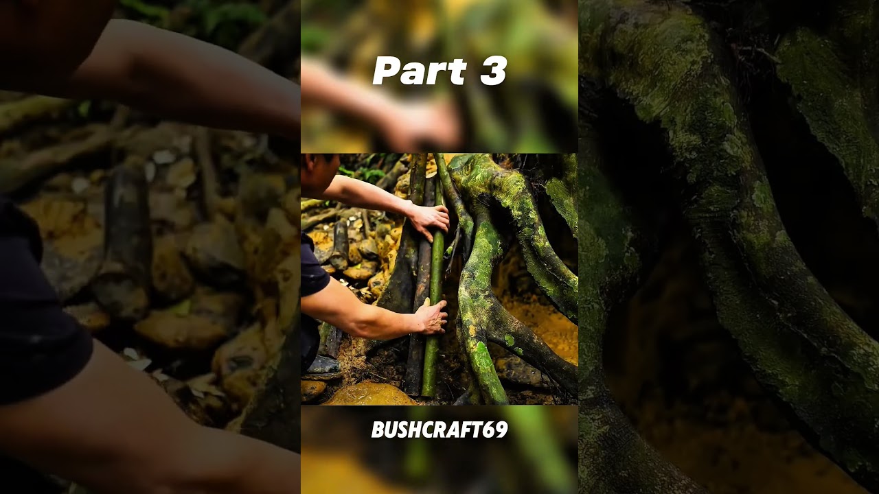 bushcraft building a shelter 