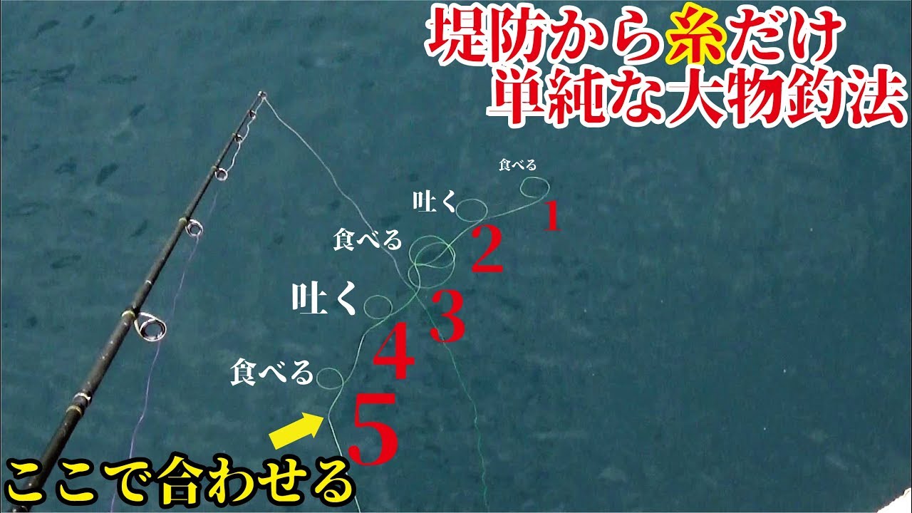 防波堤から糸を垂らすだけで荒磯並みに釣れ過ぎる（611話目）