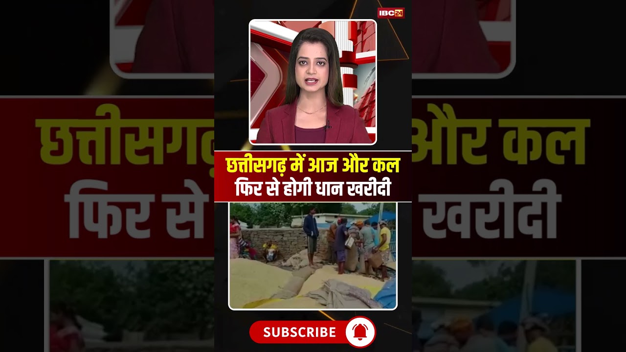 Paddy procurement will take place again in Chhattisgarh today and tomorrow #cgnews #dhankharidi #...