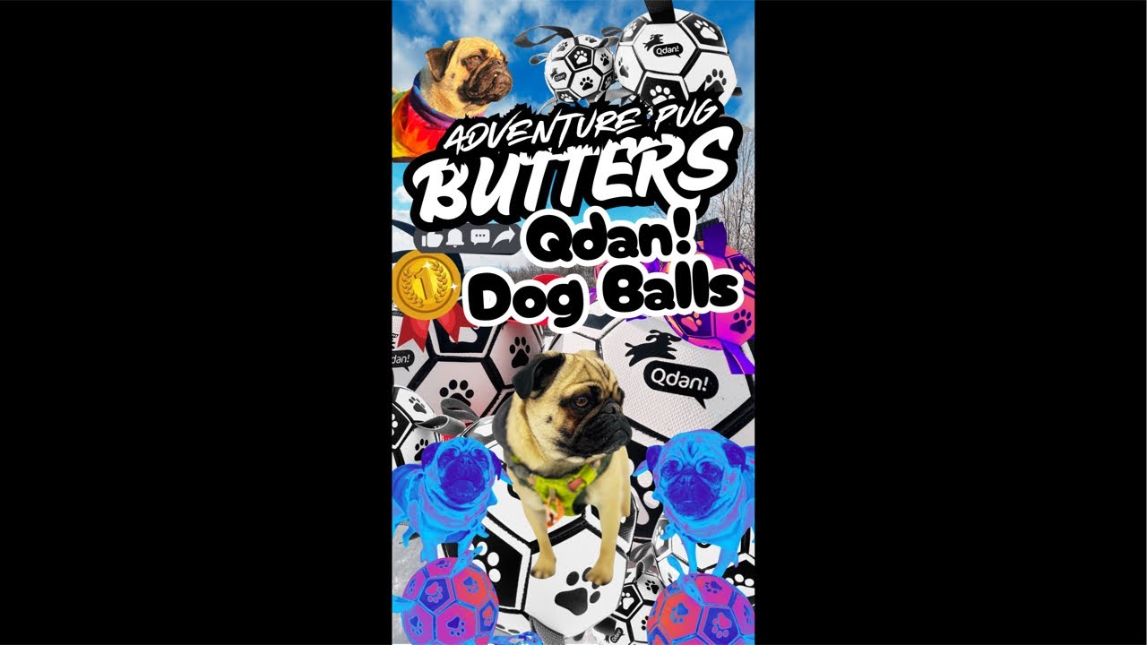 Play Ball with Butters