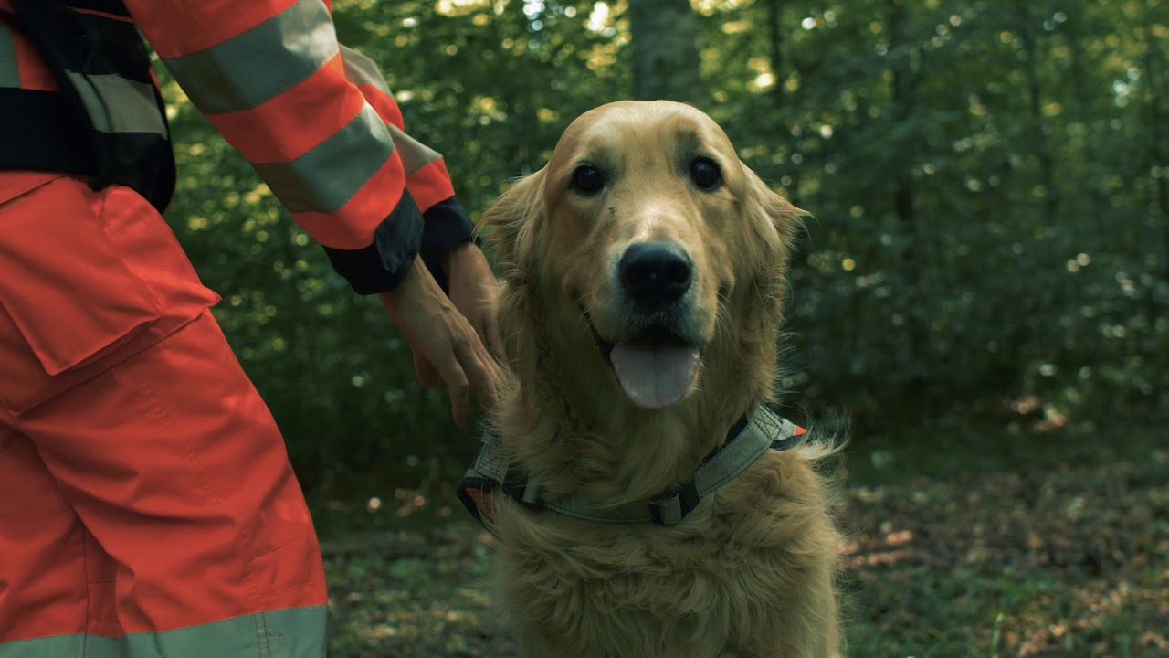 Imagefilm BRH Hundestaffel Heidenheim