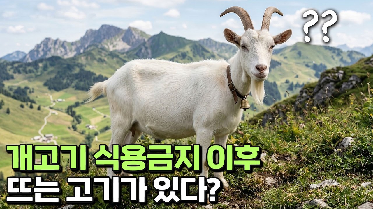 국내 염소 고기 판매량 급증, 왜?