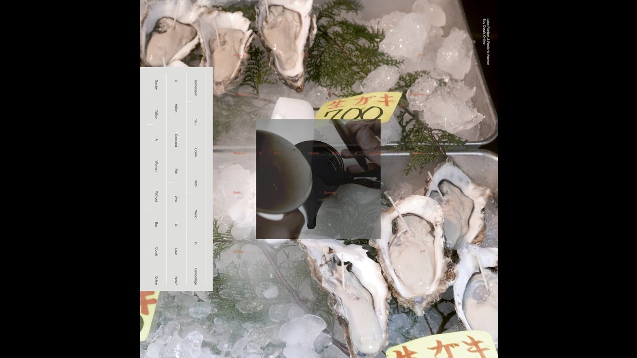 Loke Rahbek & Frederik Valentin &ndash; Buy Corals Online (Full Album) [Editions Mego]