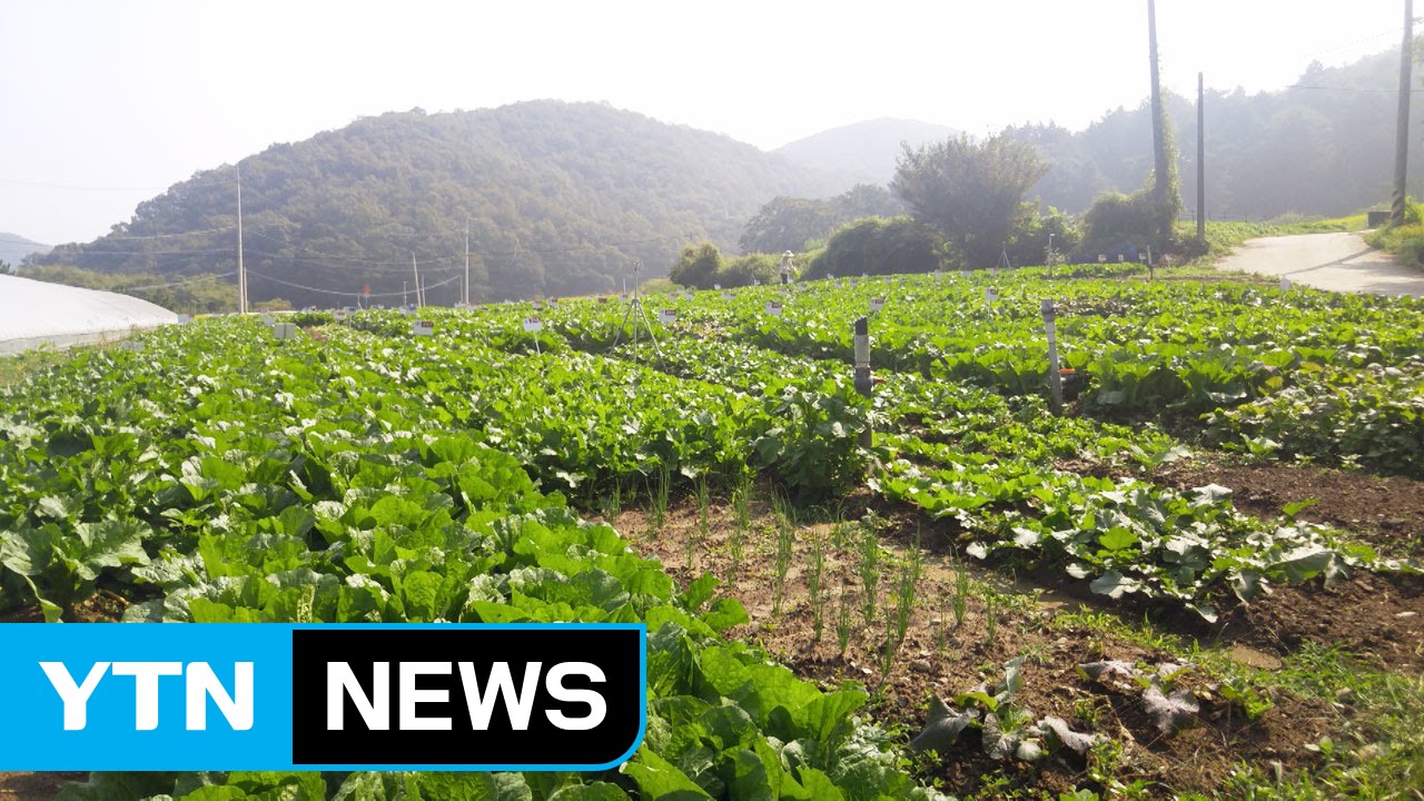 서울 인근 친환경 농장 개장...가족과 농사를 / YTN