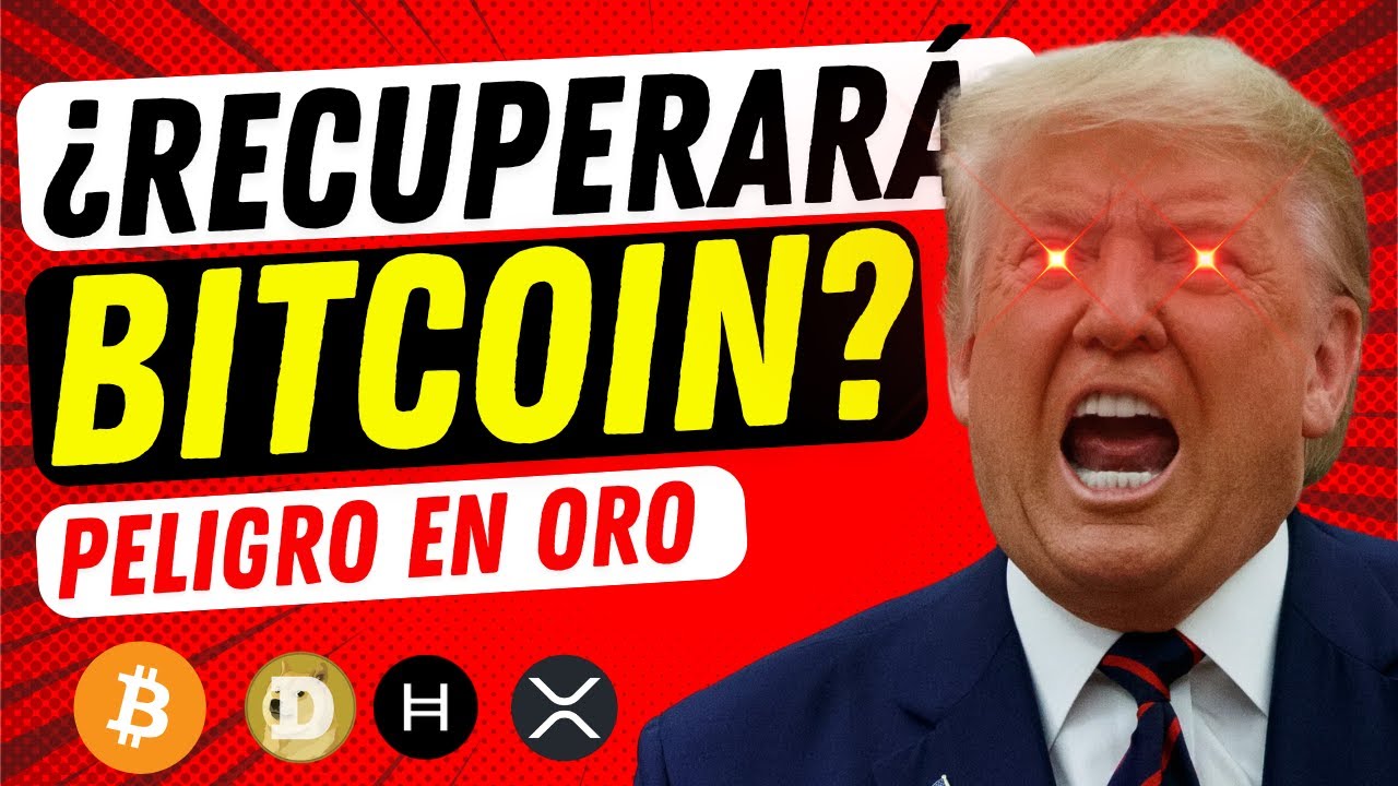 🔴 EN VIVO: ¿CAERÁ más BITCOIN y el ORO? 👉 Revisión a Fondo: Oro, Plata, EURUSD