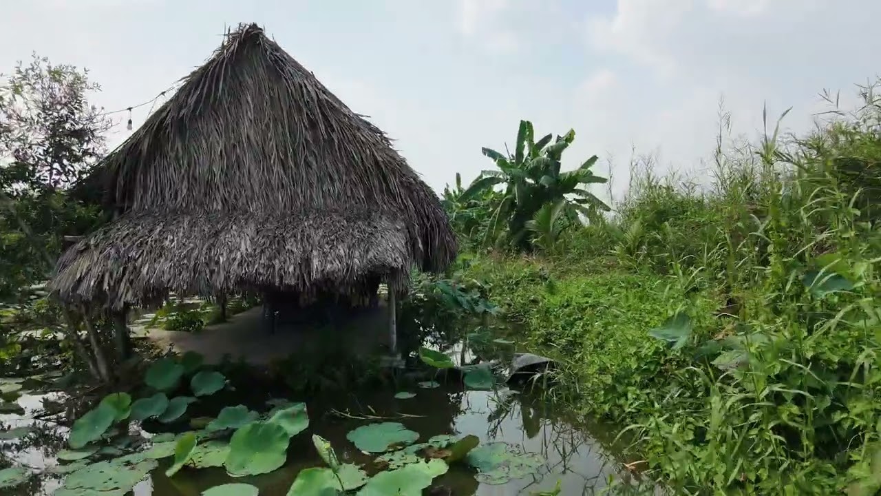Mô hình du lịch nhà ao hóc môn