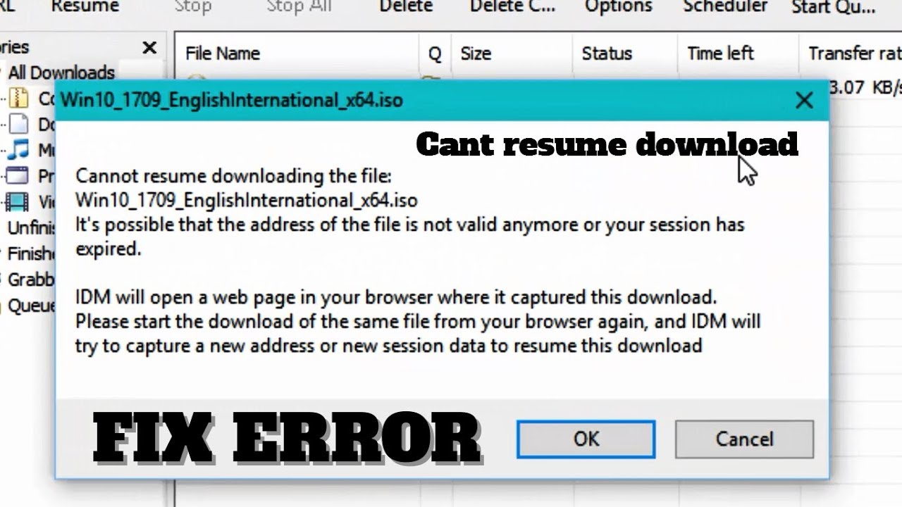 IDM Cannot Resume Downloading The File | How To Fix It