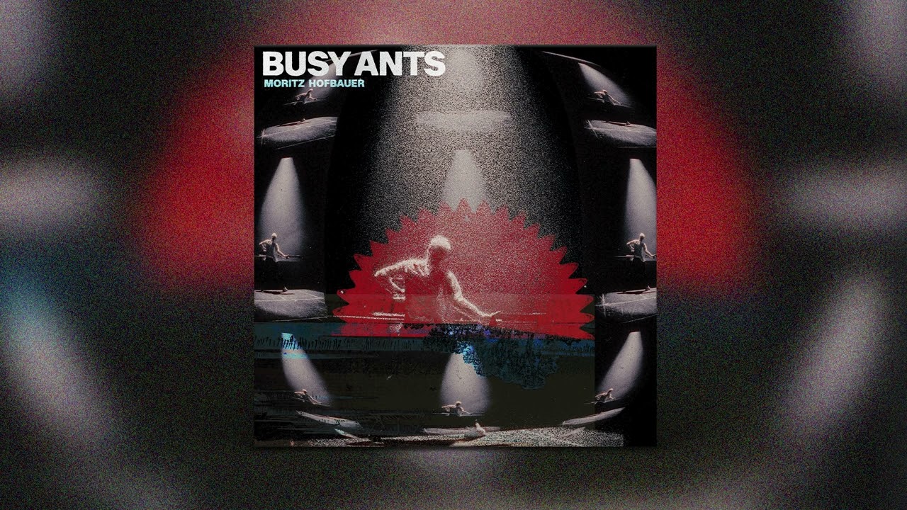 Moritz Hofbauer - Busy Ants