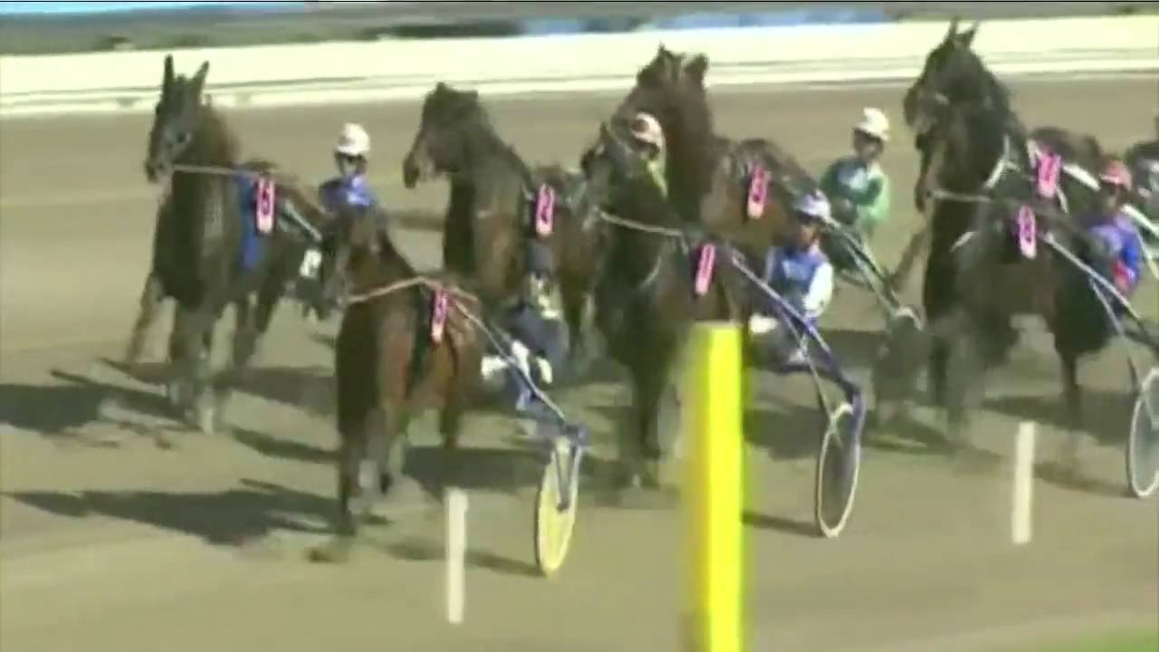Elitloppet 2010 ICELAND Johnny Takter -  tr. Stefan Melander - Solvalla Sweden (HD - version)