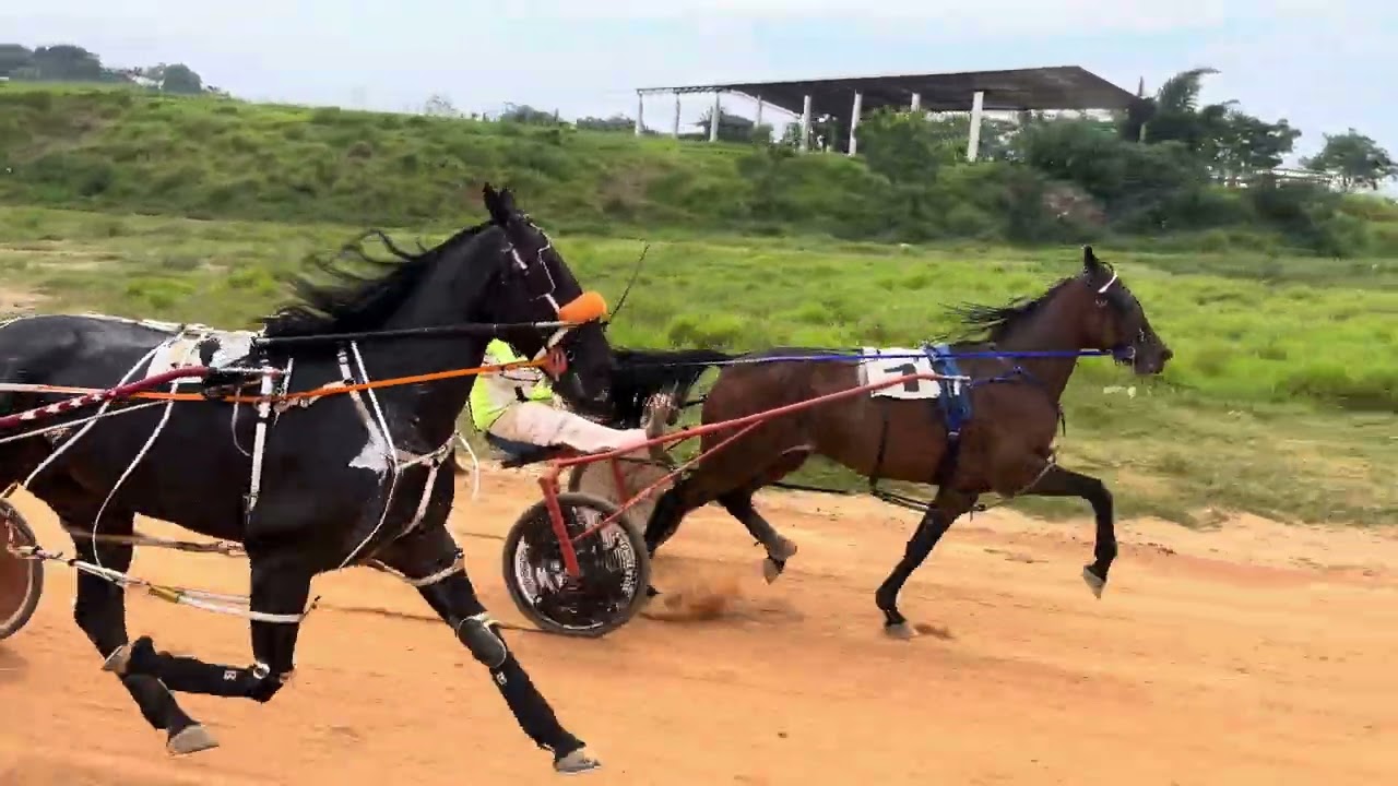 1. Retórico 2.07.22 2. Nazarena 2.09.33  3. Ótoma  2.09.75 
