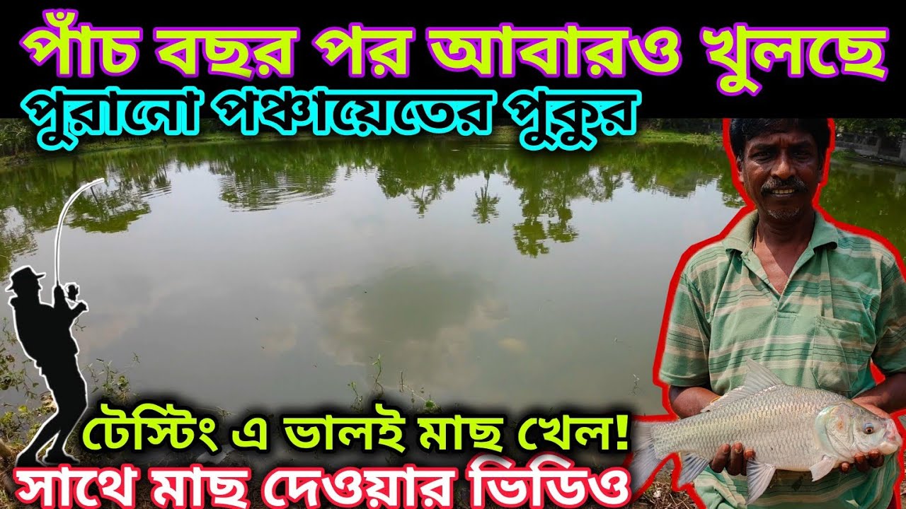 মহেশতলায় একদম নতুন পাস পুকুরের সন্ধান🔥সাথে টেস্টিং ও মাছ দেওয়া✅মোহন ডাক্তার মোড়✅1st on YouTube🔥