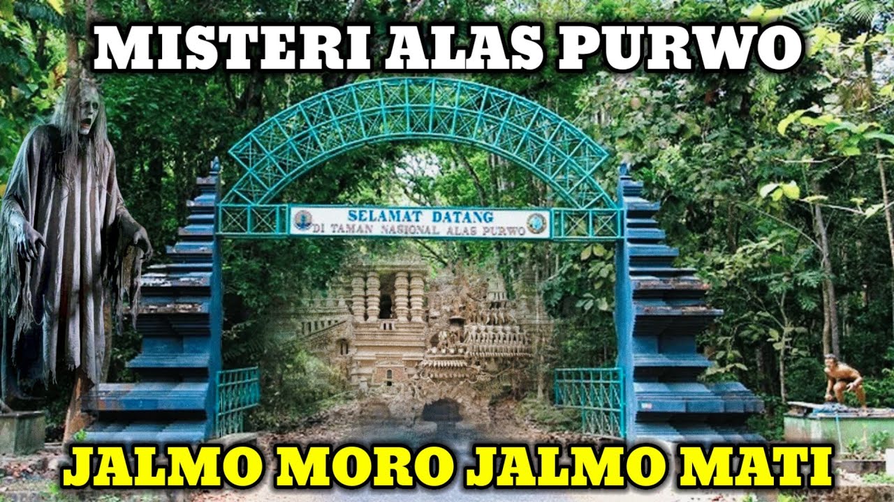 Ngeri !! Misteri Alas Purwo Banyuwangi Yang Selama Ini  Belum Diketahui Publik