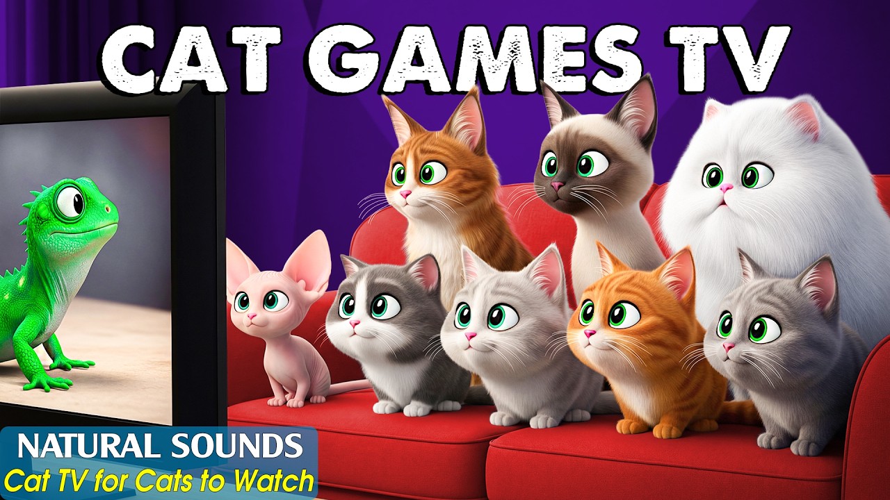 Entertainment CAT TV－3D CAT GAMES📺Reduce Stress & Anxiety for Cats at Home Alone😼Best Video For Cats