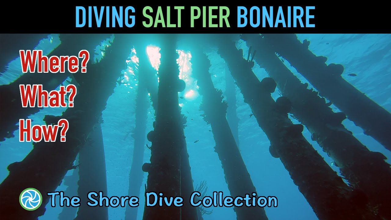 Diving Salt Pier Bonaire | The Shore Dive Collection | TropicLens - 4K