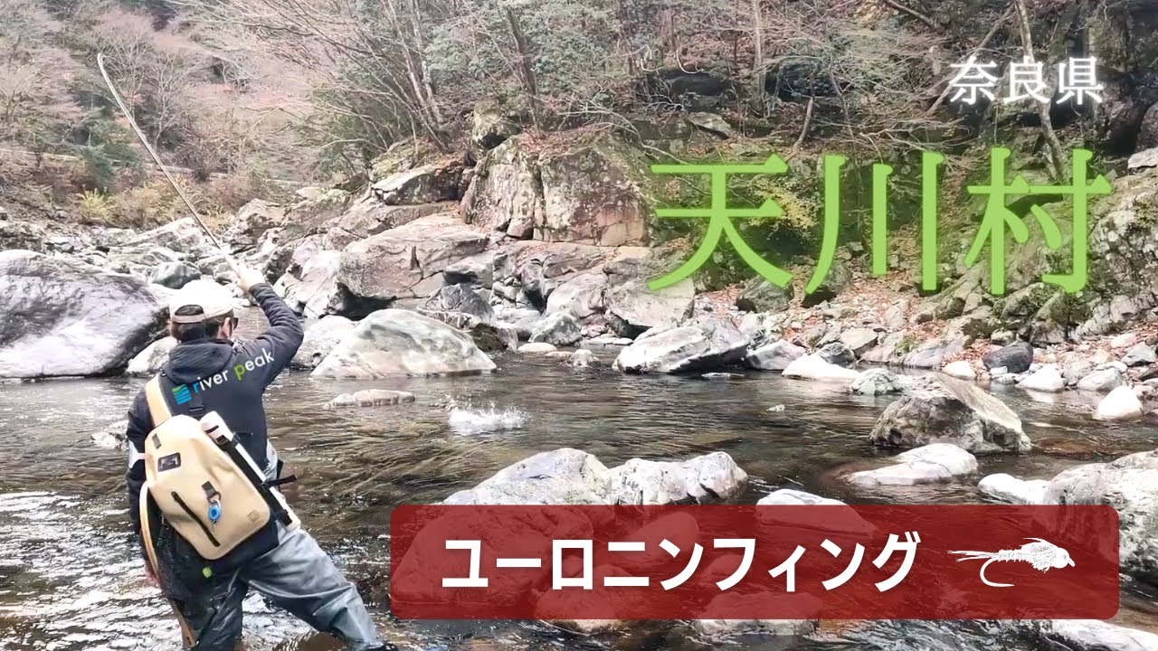 奈良県天川村 ユーロニンフでニジマス釣り