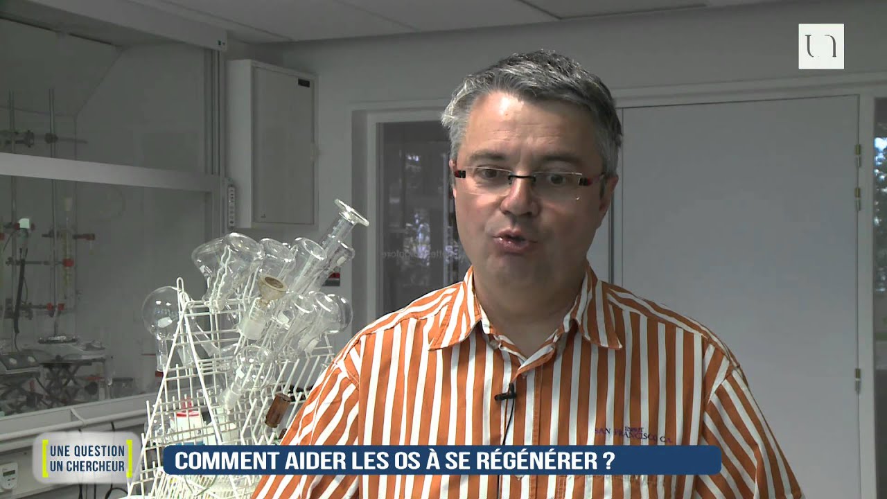 Comment aider les os &agrave; se reg&eacute;n&eacute;rer ?
