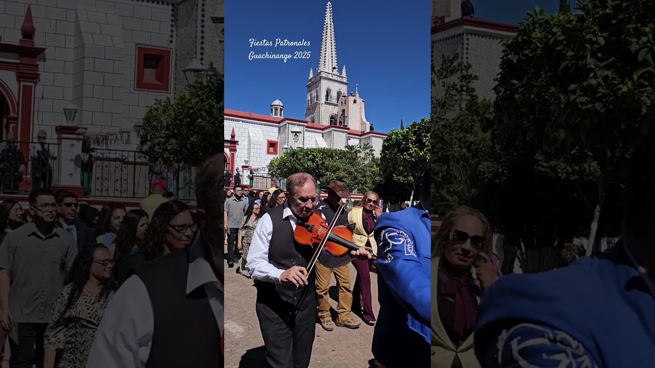 #guachinango