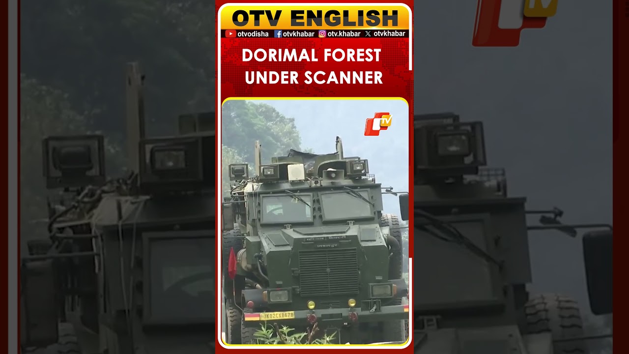 J&K: Operation Sheruwali Enters Day 28, Search Intensifies In Dorimal Forest