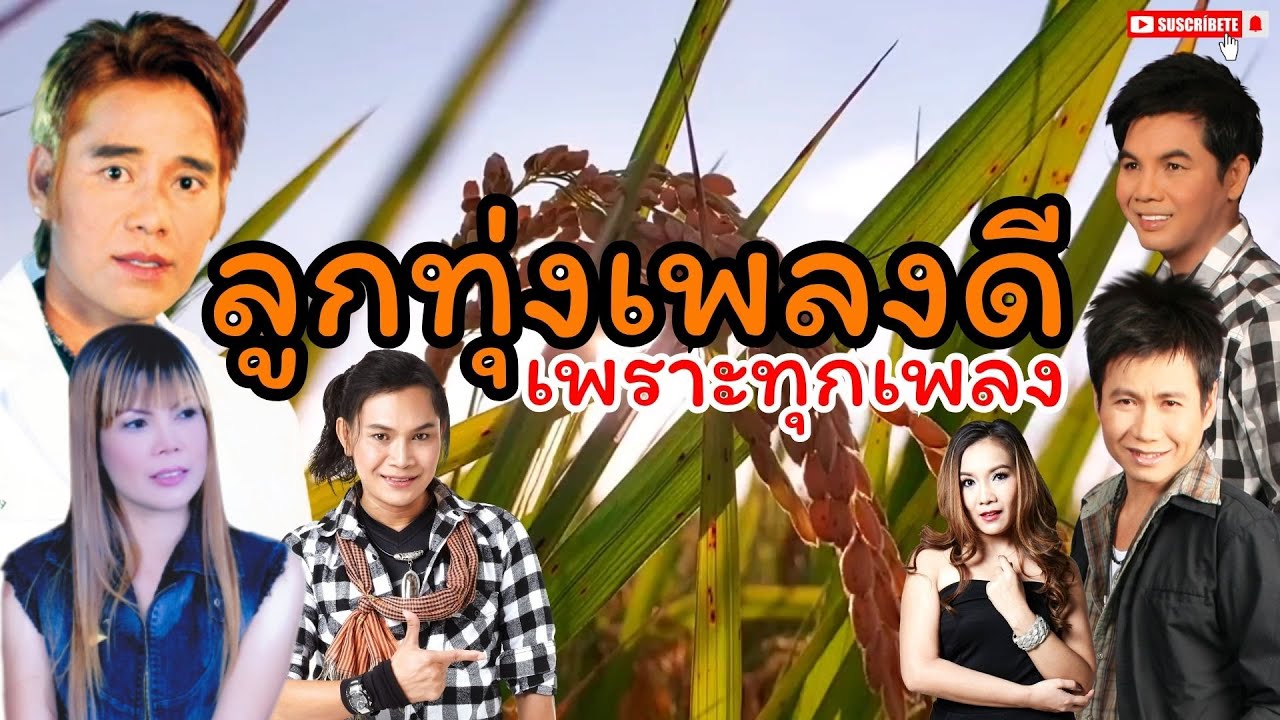 ลูกทุ่งเพลงดี เพราะทุกเพลง   #ลูกทุ่ง    #รวมเพลงเพราะ   #เพลงลูกทุ่ง