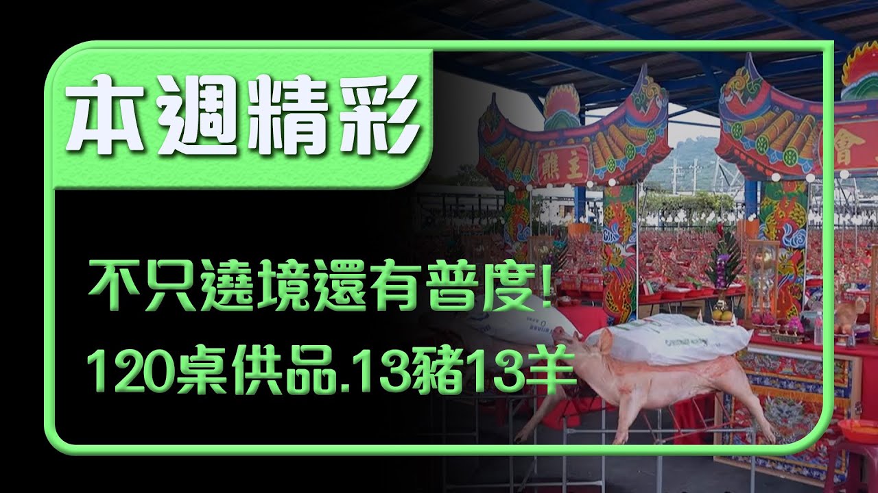 不只遶境還有超狂普度！120桌供品、13豬13羊 城隍爺親自交代『普度桌要買斷』｜本週精彩｜寶島神很大