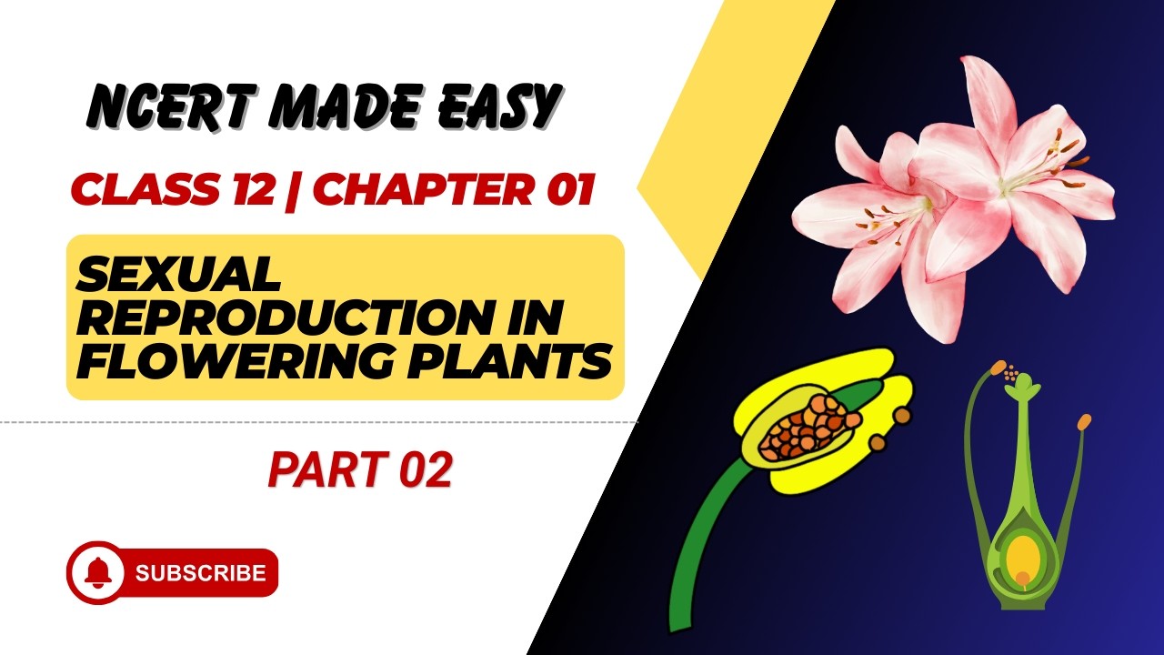 Sexual Reproduction in Flowering Plants | Part 02 | Stamen | Microsporangium | Pollen Grain | NEET