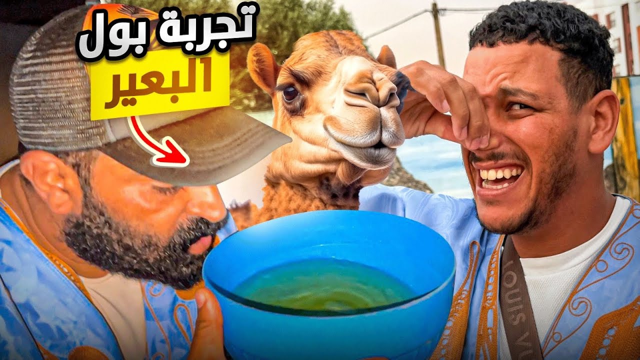 تأئهون في صحراء المغربية🇲🇦أول مرة مول سفنجة يشرب بول الباعير🍵شفاء من الأمراض المزمنة🦠شوفو شنو وقع ‼️