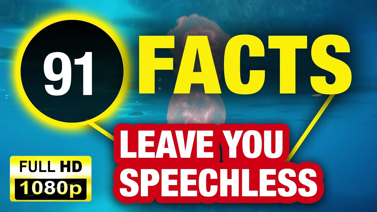 91 Unbelievable Facts That You&rsquo;ll Never Forget!