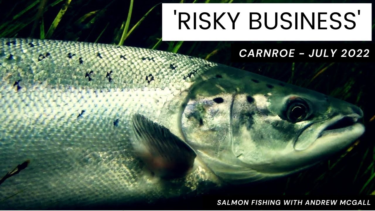 Risky Business - salmon fishing at Carnroe (River Bann) - July 2022