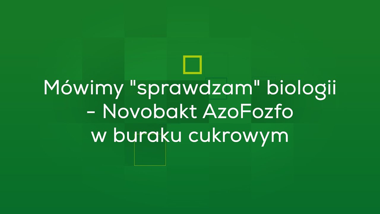 Mówimy 