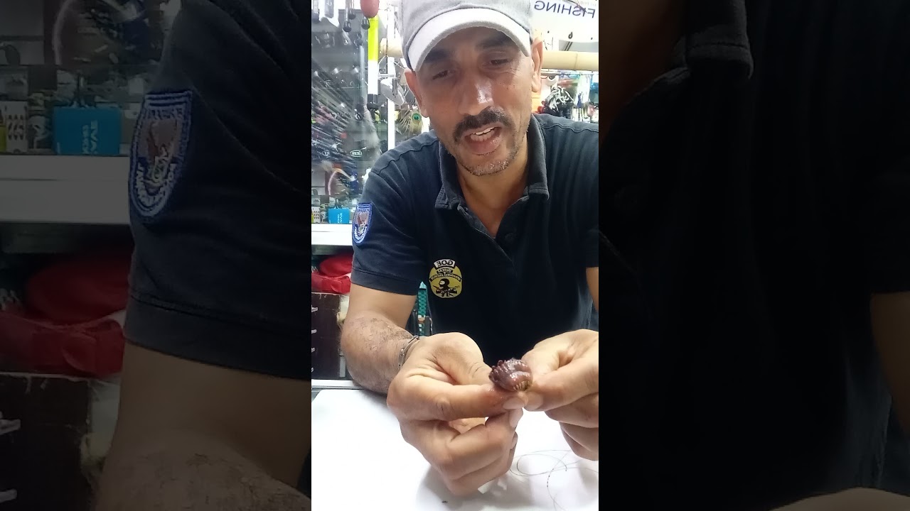 طريقة تركيب لبوبيط لي صيد الأسماك الكبيرة